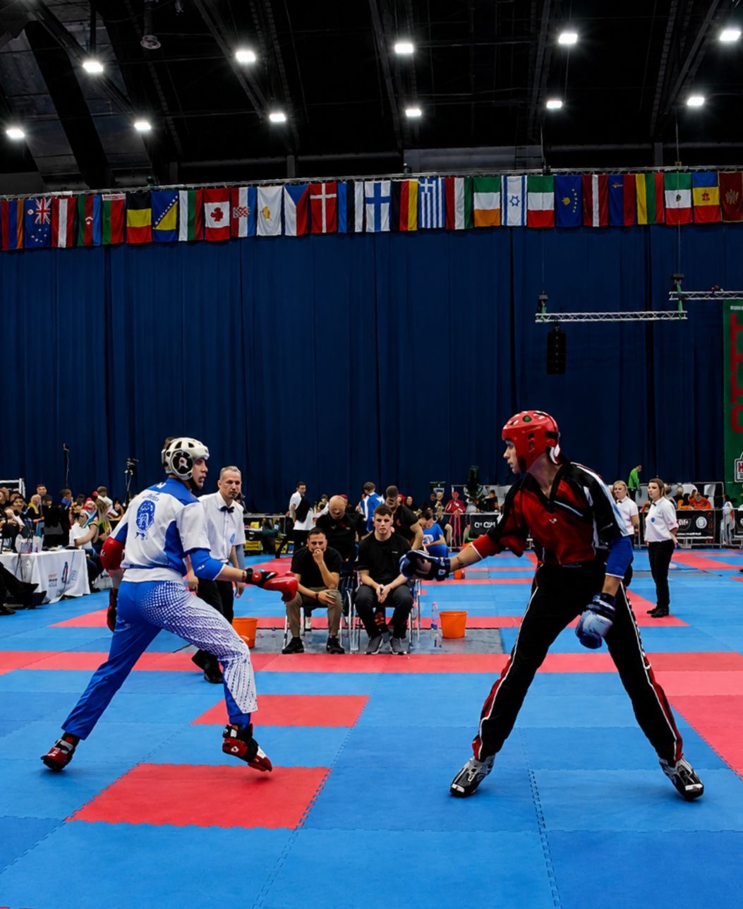 Point fighting internacional